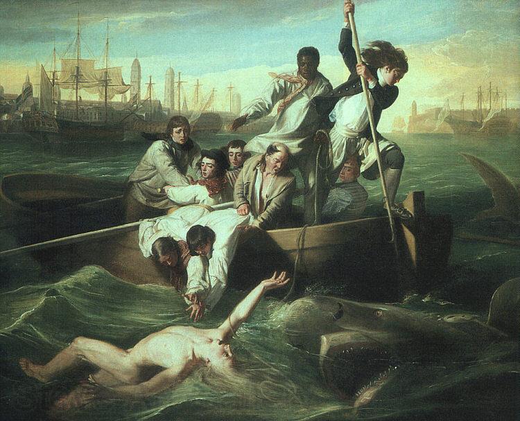 John Singleton Copley Watson and the Shark Spain oil painting art
